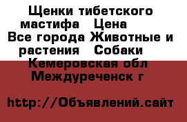 Щенки тибетского мастифа › Цена ­ 80 - Все города Животные и растения » Собаки   . Кемеровская обл.,Междуреченск г.